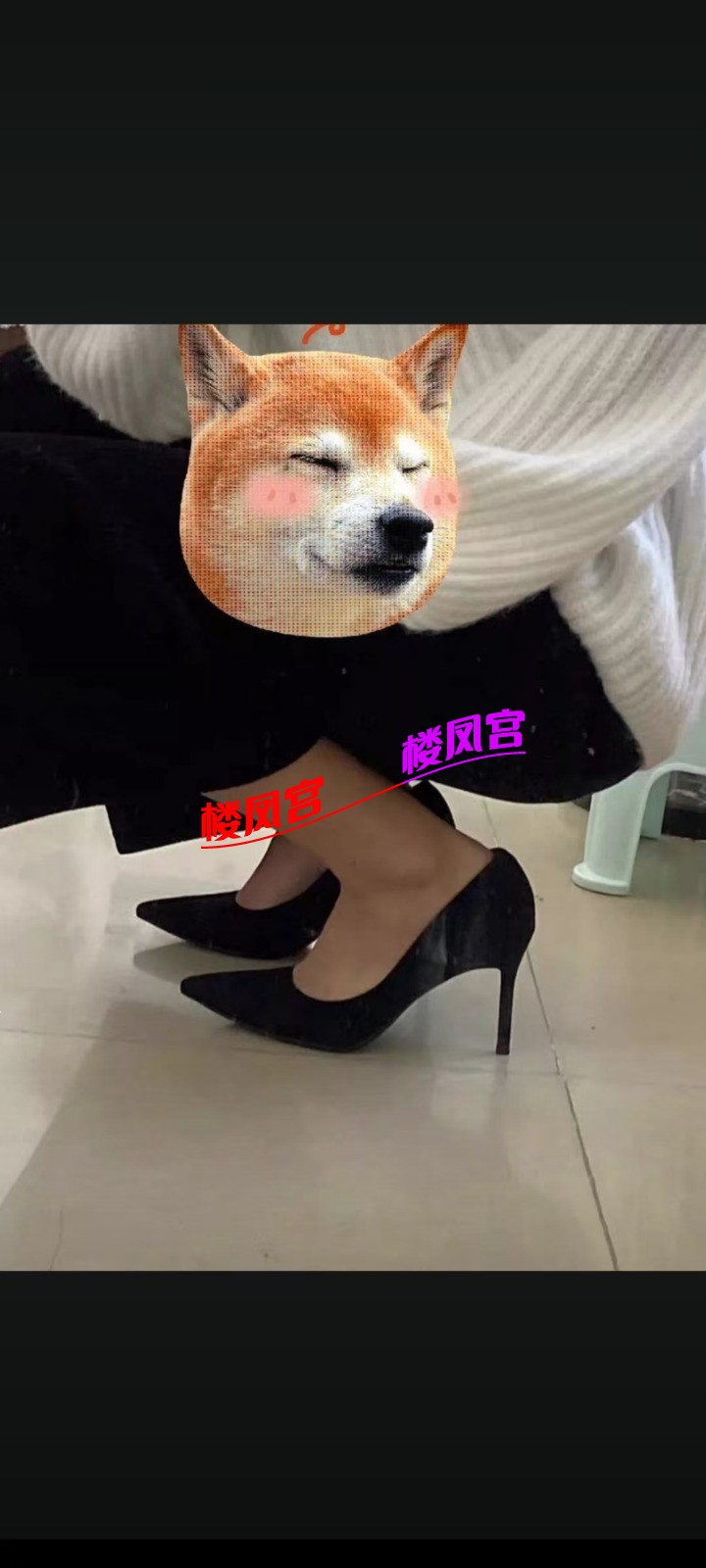 mmexport1646283482785.jpg