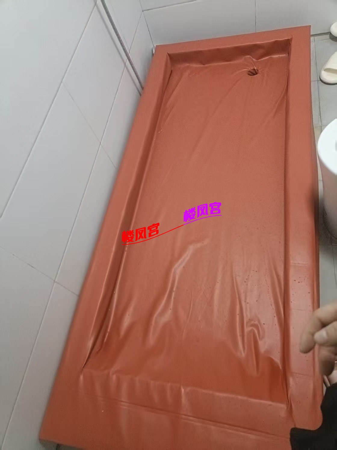 mmexport1745243190759.jpg
