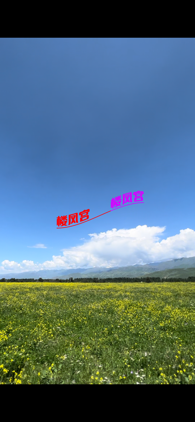 16037156041145523497.PNG