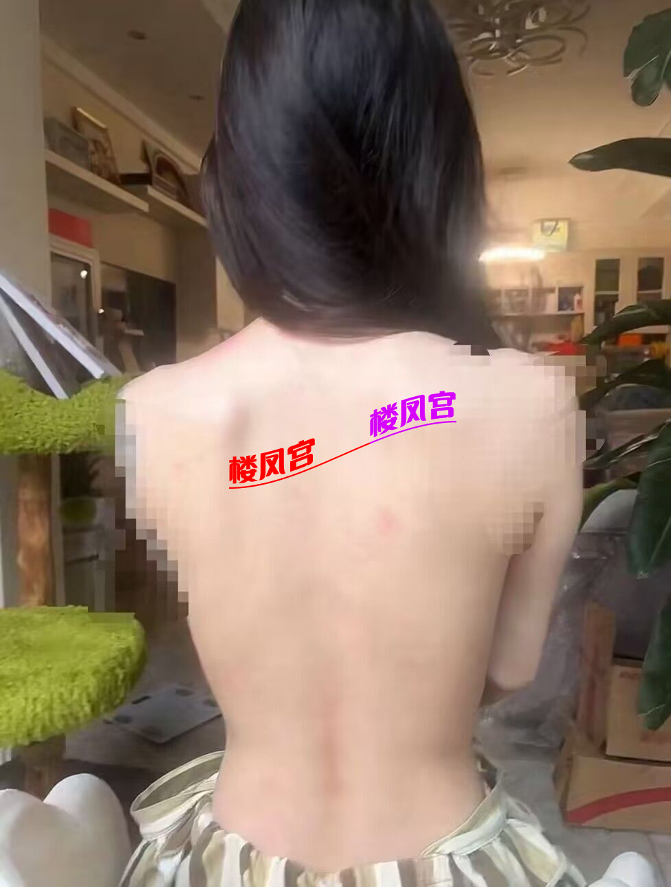 IMG_3053.png