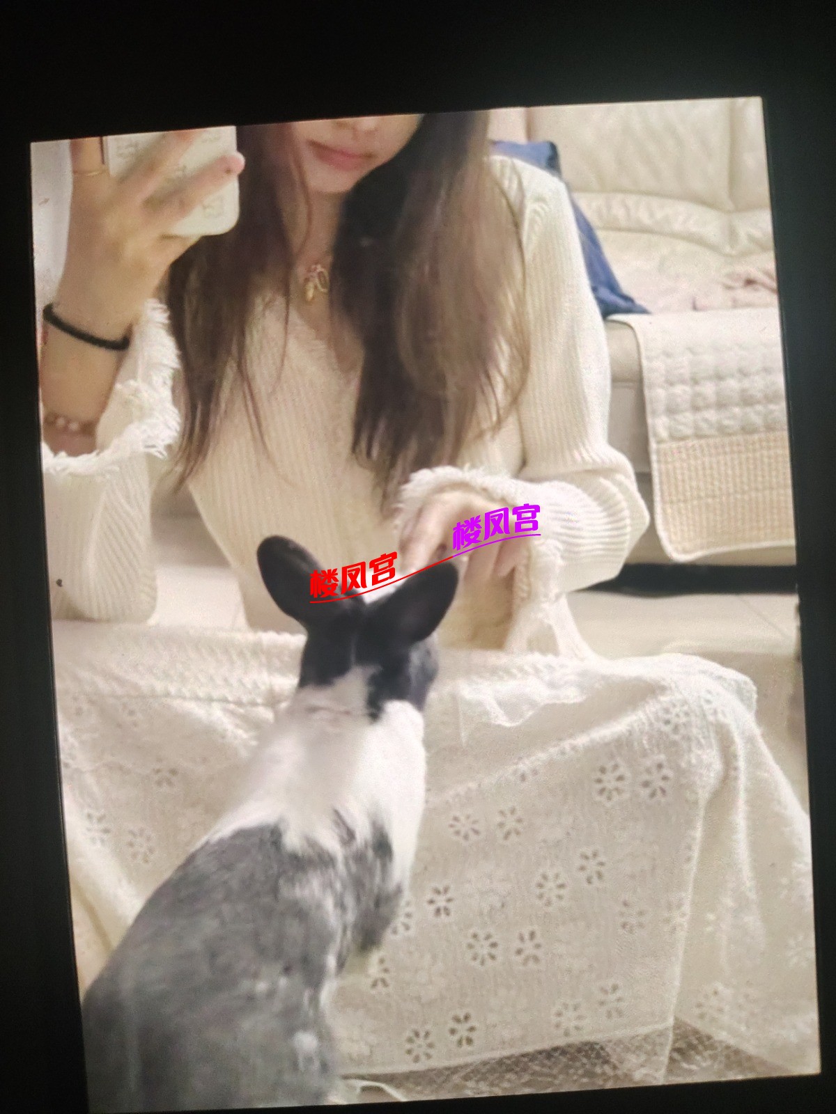 1743080638190.jpg