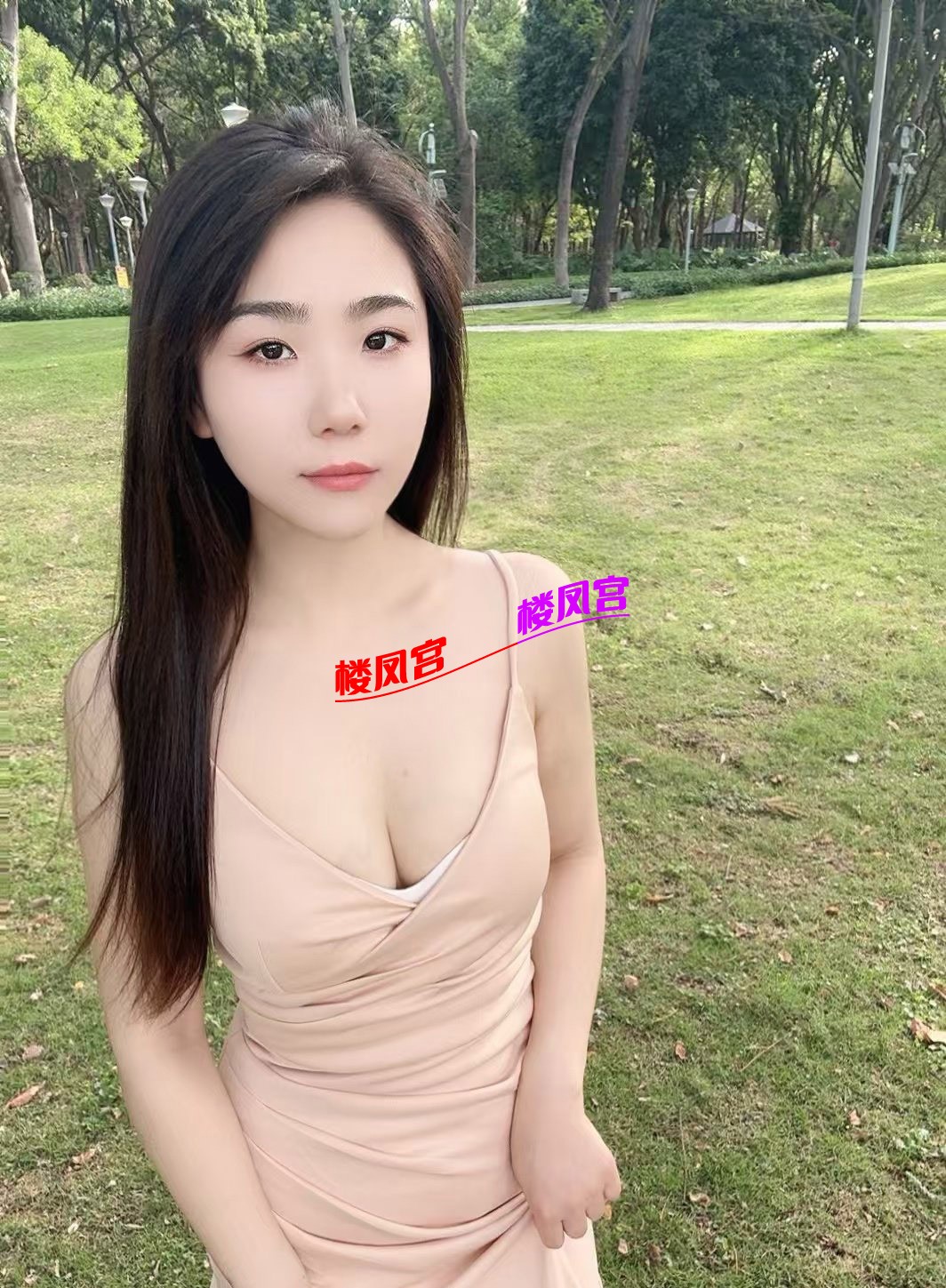52449.jpg