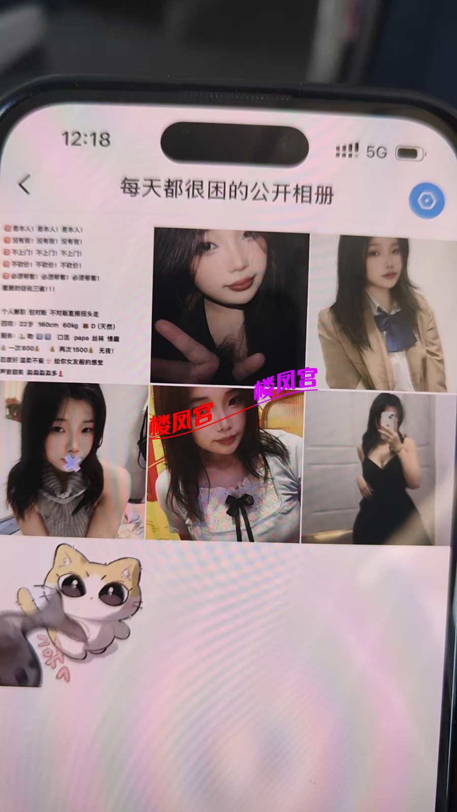 2a9b4945b7aa9876ab41c8ab4a63d7d9.jpeg